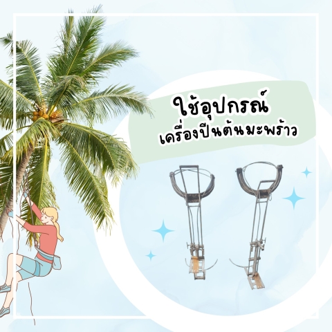 #ปีนต้นมะพร้าว ไม่มีสกิลการปีน...อาจตกลงมา...ได้นะคะ