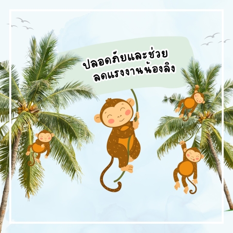 #ปีนต้นมะพร้าว ไม่มีสกิลการปีน...อาจตกลงมา...ได้นะคะ